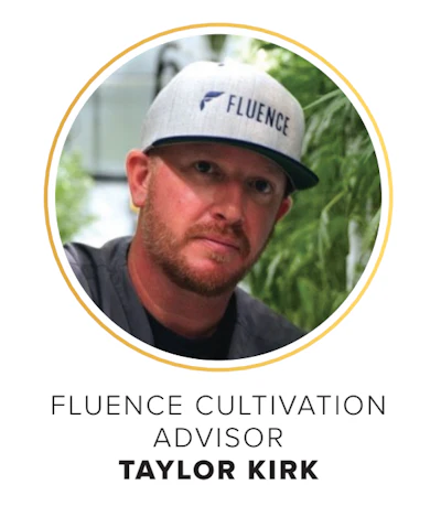Taylor Kirk