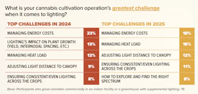 Top Lighting Challenges