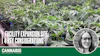 Galenas operates as a licensed dual-use cannabis cultivator in Akron, Ohio.