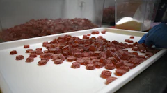 Ohio Gummies1