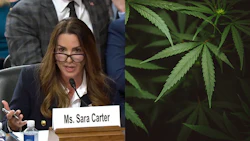 Sara Carter Bailey, President Donald Trump's nominee to be the director of the White House Office of National Drug Control Policy, testifies during her confirmation hearing Sept. 17 before the Senate Judiciary Committee. The full Senate is positioned to move forward on her confirmation this week.