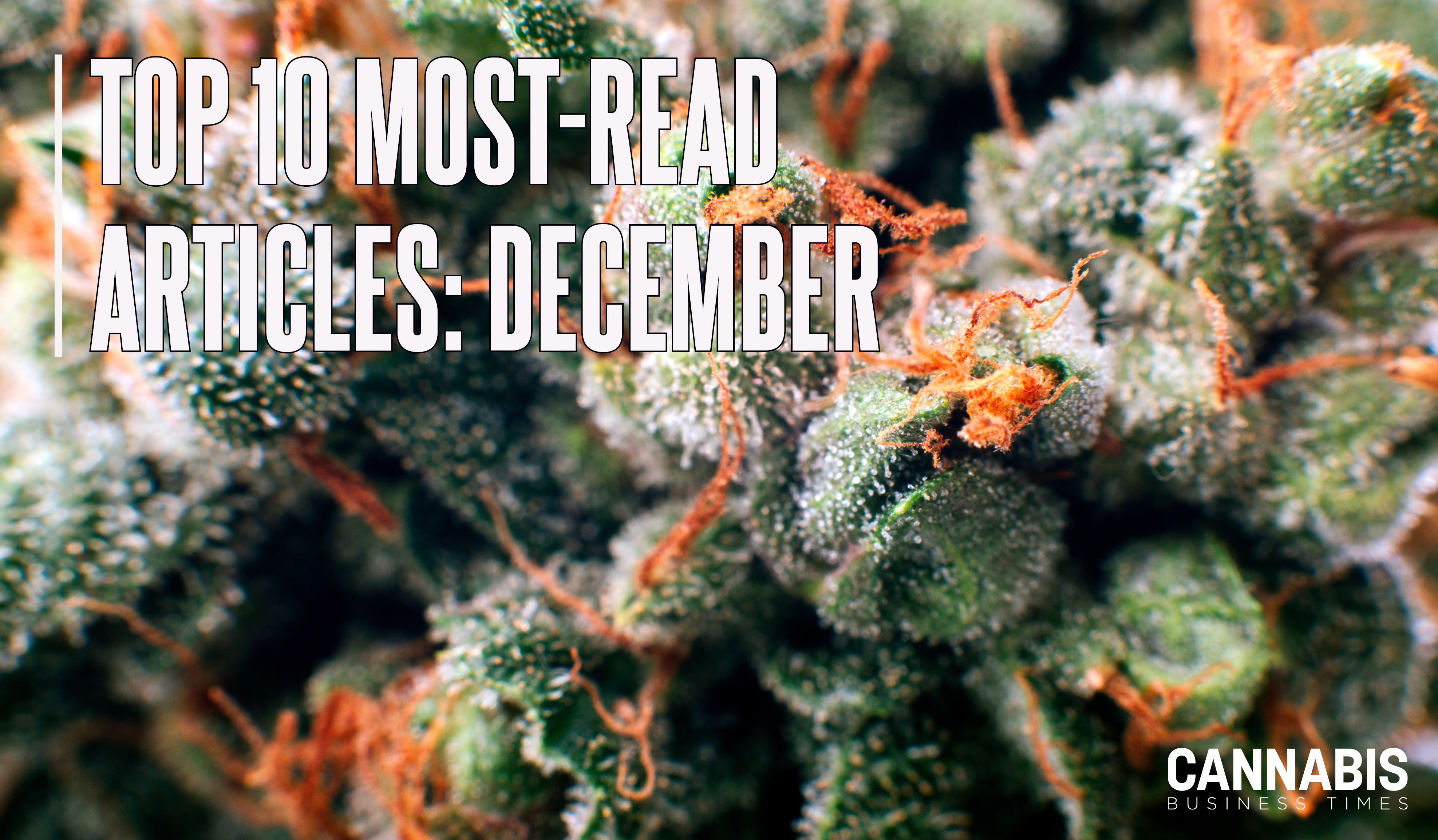 Top10 Dec 2025