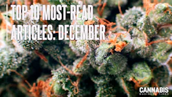Top10 Dec 2025