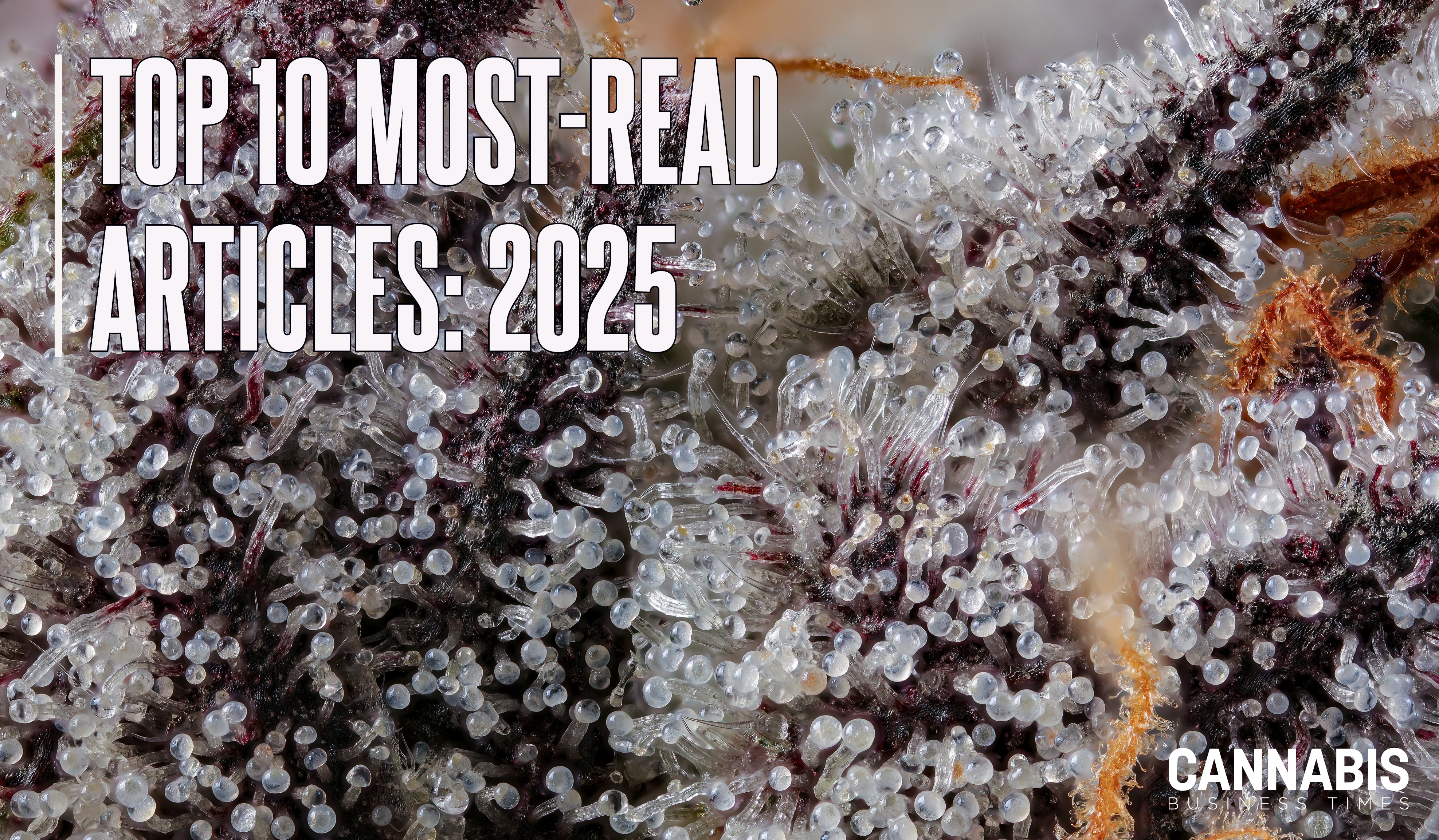 Top10 Year 2025