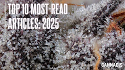 Top10 Year 2025