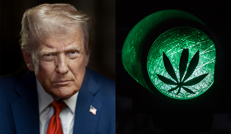 Trump Portrait Merged