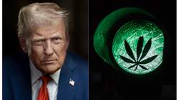 Trump Portrait Merged