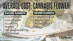 Average Cost Cannabis Flower 2026 Display