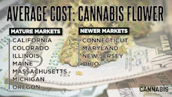 Average Cost Cannabis Flower 2026 Display