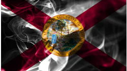 Florida Smoke 376053975