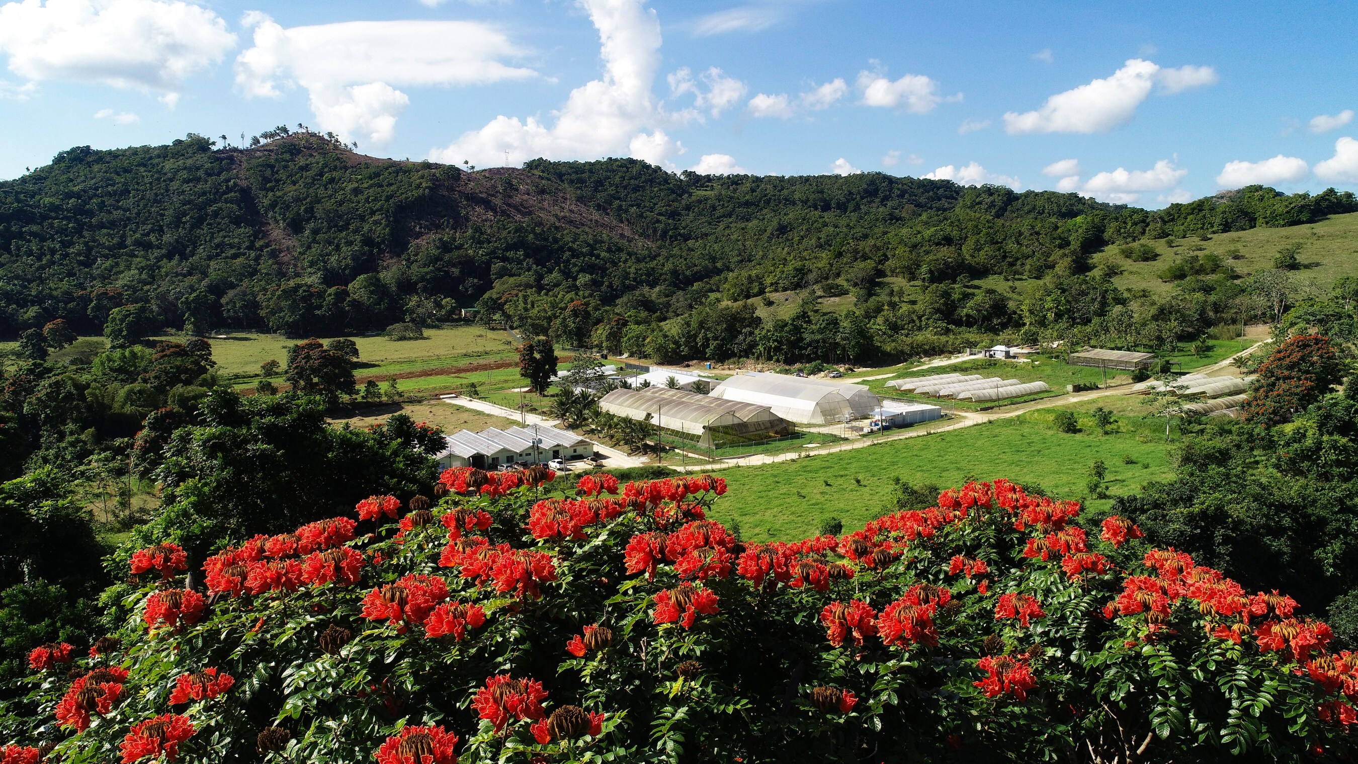 JACANA Farm