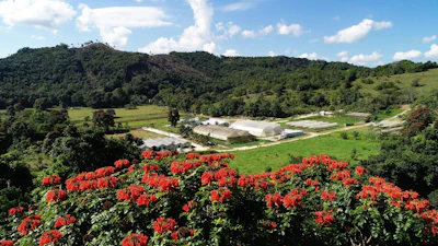 JACANA Farm