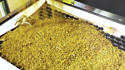 A vibrating box was used to shake ground cannabis down into paper rolls that were loaded into this rack, as production workers in Massachusetts moved the ground cannabis around a tray to evenly distribute and fill the pre-rolls.