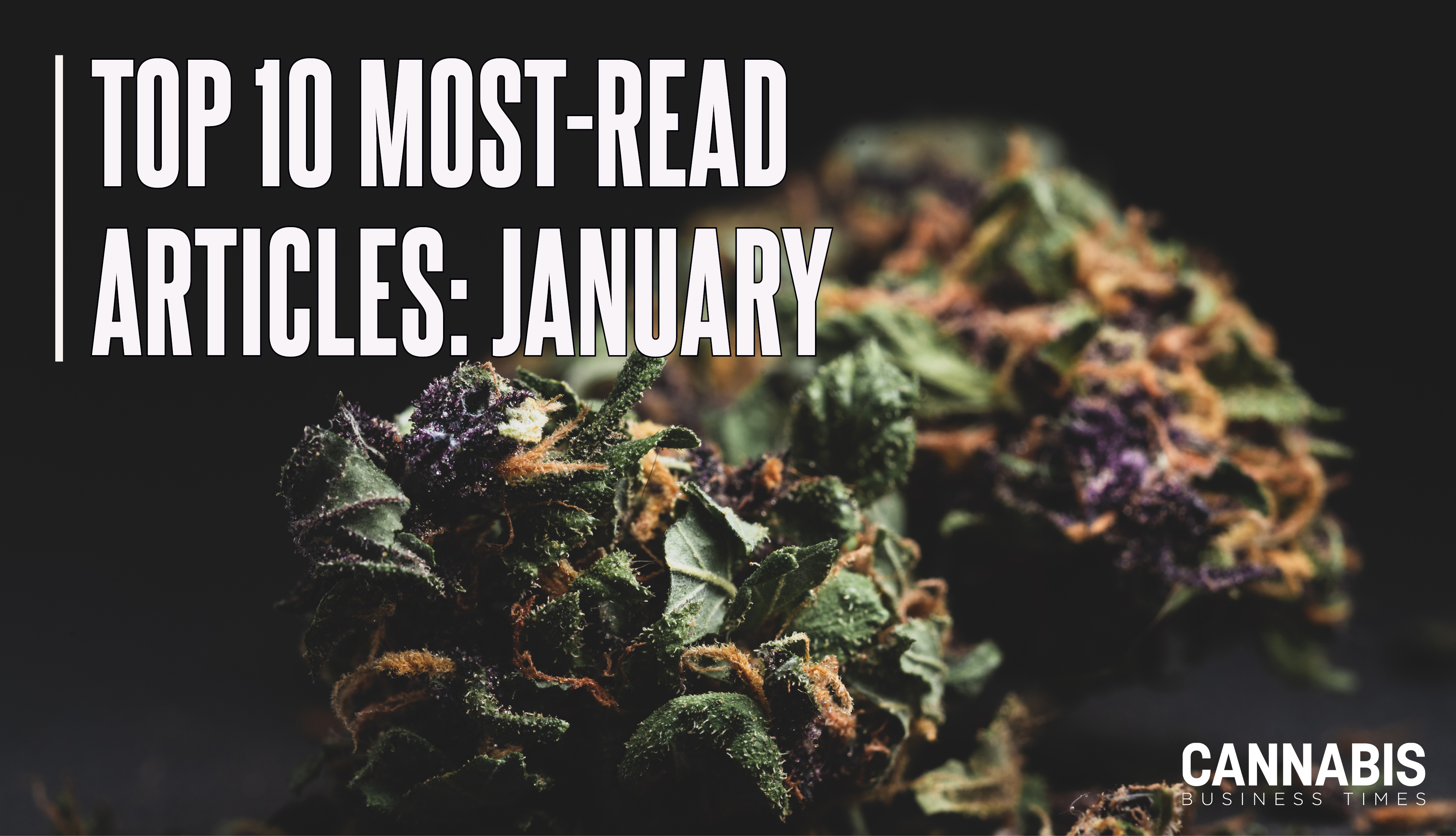 Top10 Jan 2026