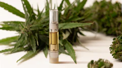 Vape 291071968