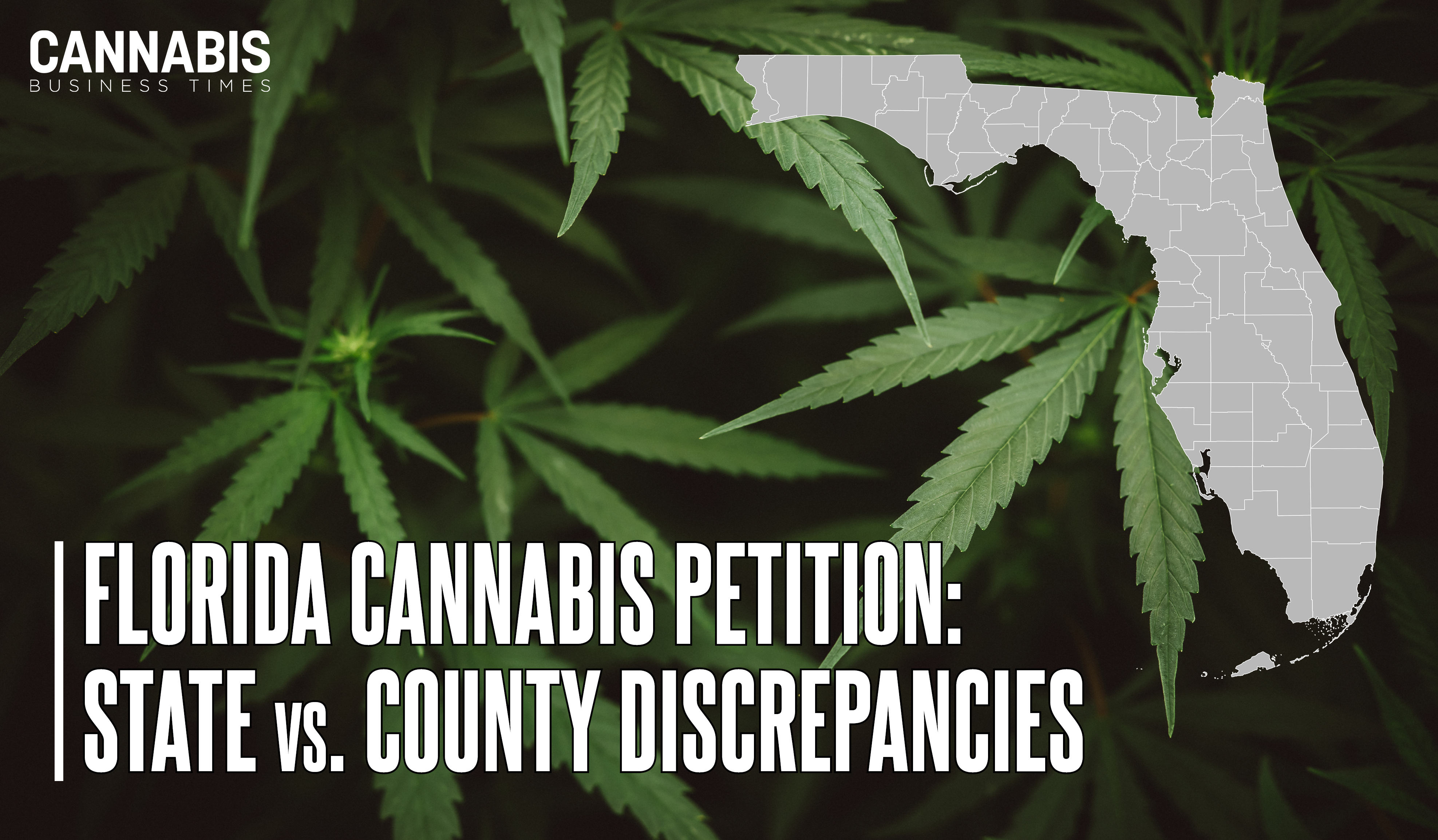 Florida Signature Petition Discrepancies Display
