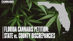 Florida Signature Petition Discrepancies Display