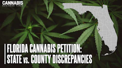 Florida Signature Petition Discrepancies Display