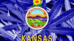 Kansas 79399124
