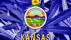 Kansas 79399124