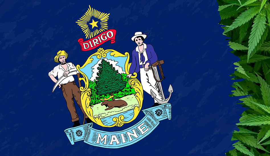 Maine Export 394238925 [converted]