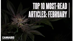 Top10 Feb 2026