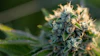 Wisconsin 219725074