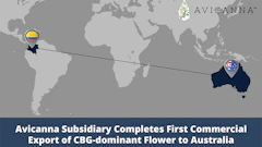Avicanna Australia Export Pr
