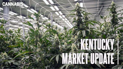 Kentucky Market update