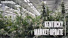 Kentucky Market update