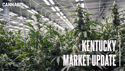 Kentucky Market update