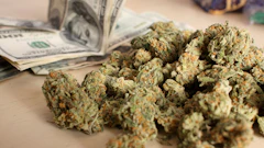 Mj Money 42702888