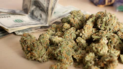 Mj Money 42702888