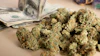 Mj Money 42702888