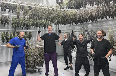 Paul's Boutique's cultivation team.
