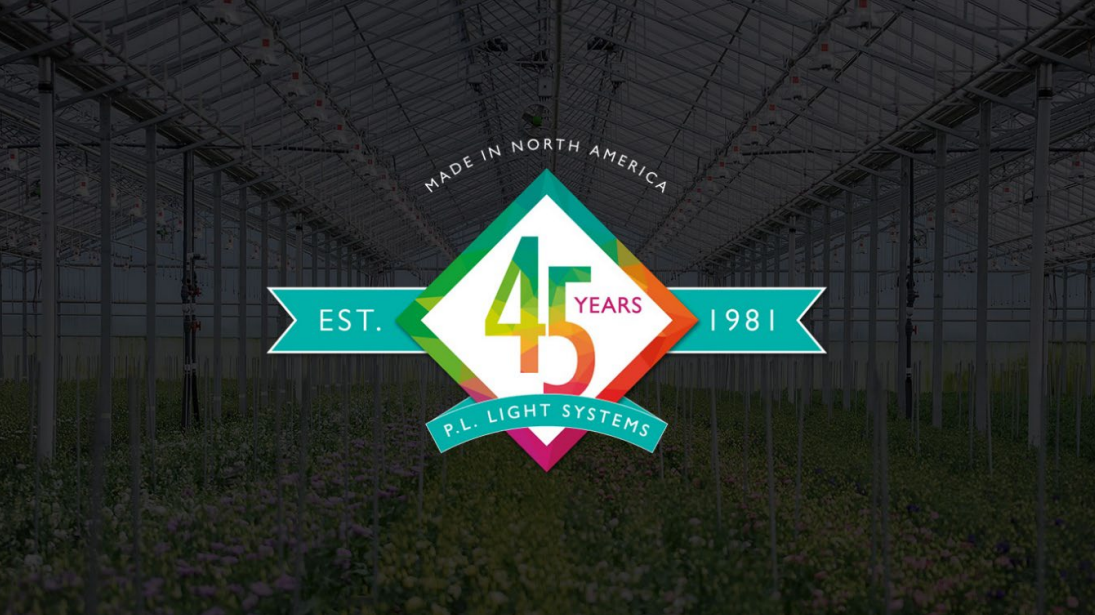 P l Light Systems 45 Years