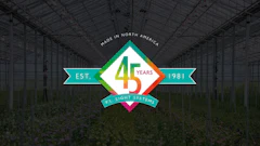 P l Light Systems 45 Years