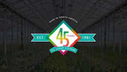P l Light Systems 45 Years