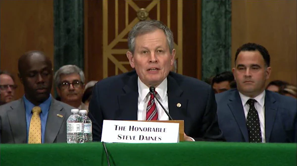 Sen. Steve Daines, R-Mont., flanked by prohibitionist Kevin Sabet (right), testifies on the SAFE Banking Act on May 11, 2023, before the Senate Banking Committee.