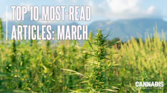 Top10 March 2026