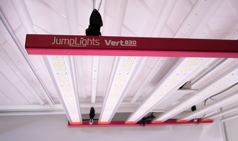 Vert 830: Robust fixtures built to deliver high light intensity (over 2,300 &mu;mol/s), enabling multi-tier flowering operations to maximize canopy penetration and yield potential.