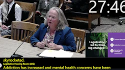 Wendy Wakeman, the spokesperson for the Coalition for a Health Massachusetts, testifies before the state's Special Joint Committee on Initiative Petitions on March 23.