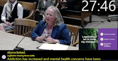 Wendy Wakeman, the spokesperson for the Coalition for a Health Massachusetts, testifies before the state's Special Joint Committee on Initiative Petitions on March 23.