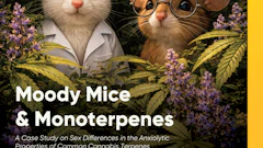 260410 Abstrax Moody Mice Monoterpenes Cover