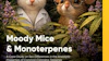 260410 Abstrax Moody Mice Monoterpenes Cover
