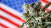 America Mj 679861553