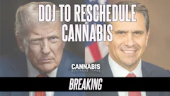 President Donald Trump and Acting U.S. Attorney General Todd Blanche