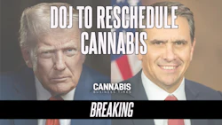 President Donald Trump and Acting U.S. Attorney General Todd Blanche