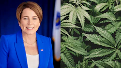 Massachusetts Gov. Maura Healey