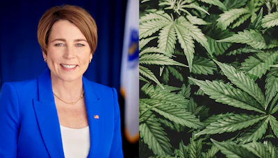 Massachusetts Gov. Maura Healey